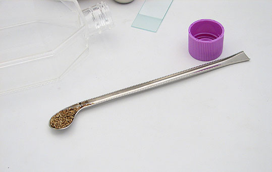Stainless steel Offset Spoon, 190mm