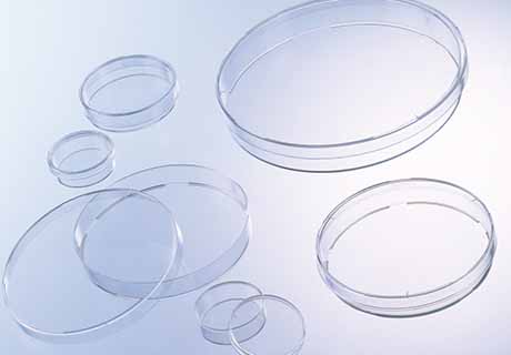 Disposable petri dish 94 x 16mm, sterile (p/480)