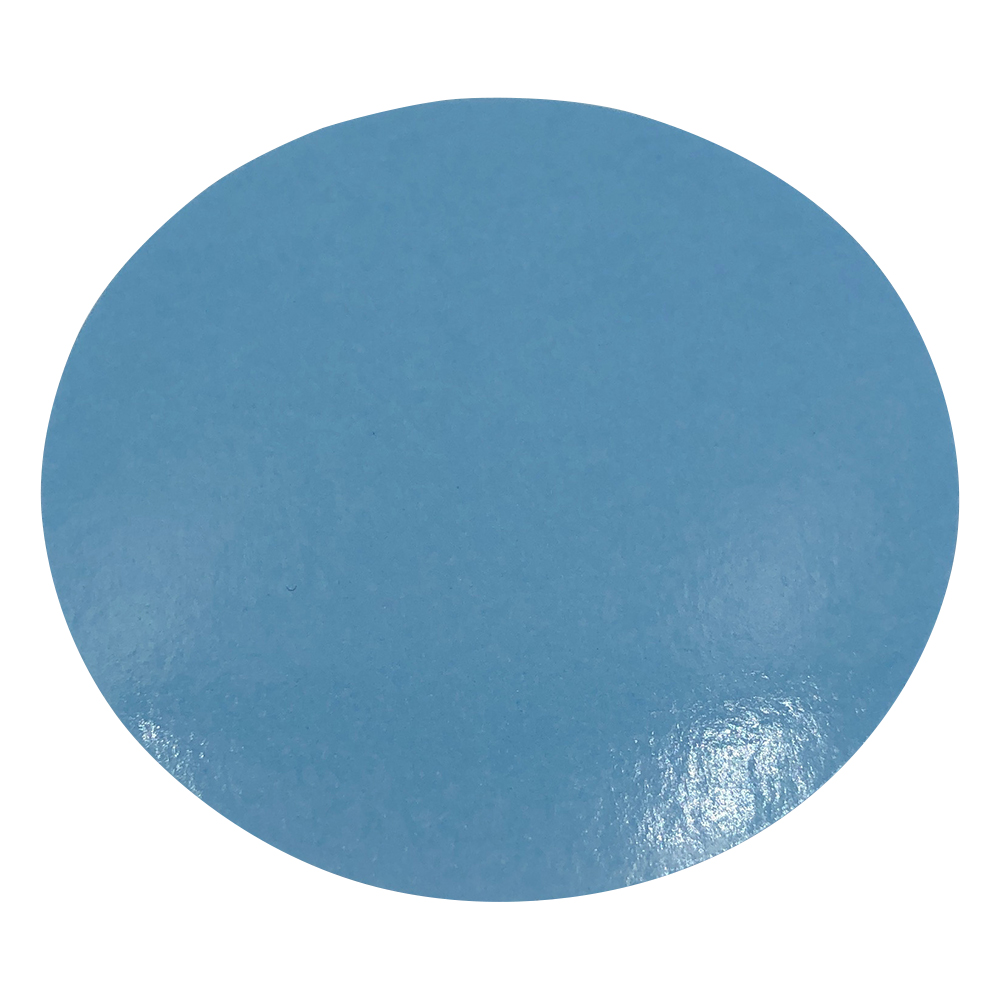 AS FLON PTFE Membrane Filter F
