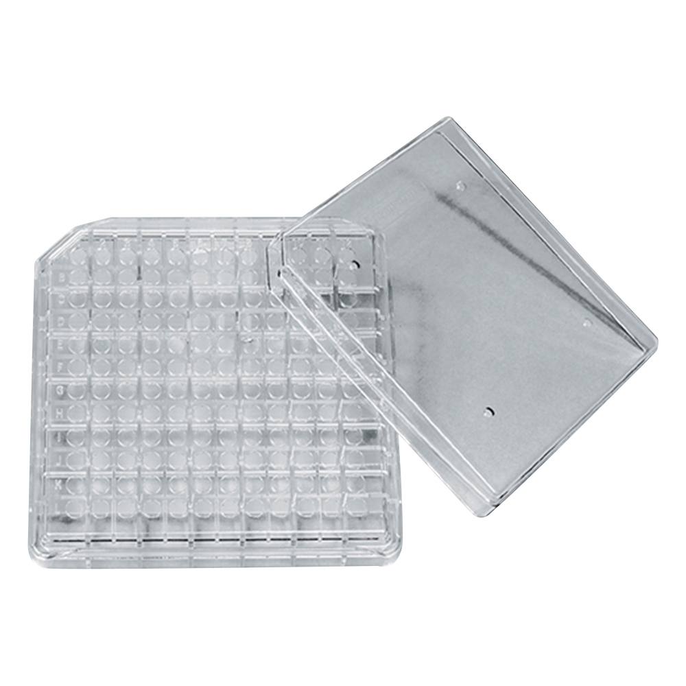Freeze Box 132 x 132 x 25mm 5 Pcs