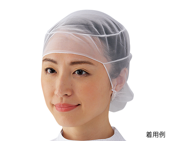 Hair Net